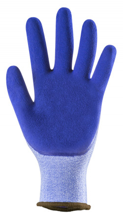 Gants EUROLITE 13L700 J13 PE bleu dble end.latex bleu T10