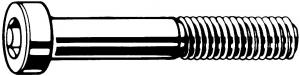 VIS TR CHC TROU GUIDAGE AC-I A2 M4x8  DIN6912