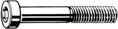 VIS MTX TC BAS TX AC-I A2-50 M2,5x4  ISO14580